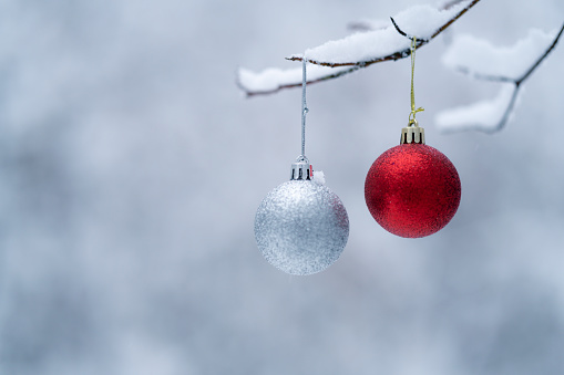 Christmas ornaments on the twig.