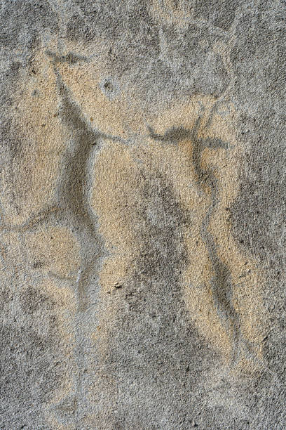 istock old grungy texture, grey concrete wall 1344421211