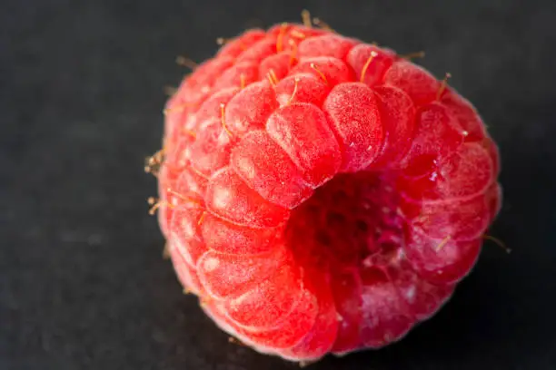 Macro Fruit: Ripe raspberry extreme close-up, black background, horizontal format