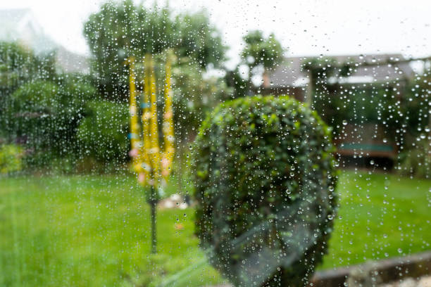 Rain drops falling on a defocused nature background during torrential rain.