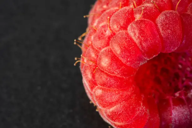 Macro Fruit: Ripe raspberry extreme close-up, black background, horizontal format