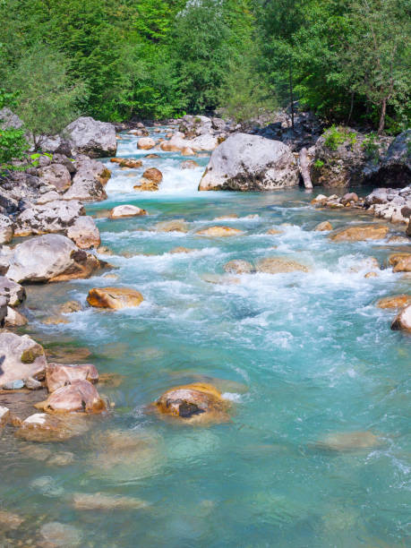 istock Summer view on mountain river water with stones among woods 1344427705