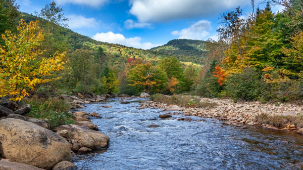 istock River in early autumn. A river in early fall in Quebec, Canada. 1344433399