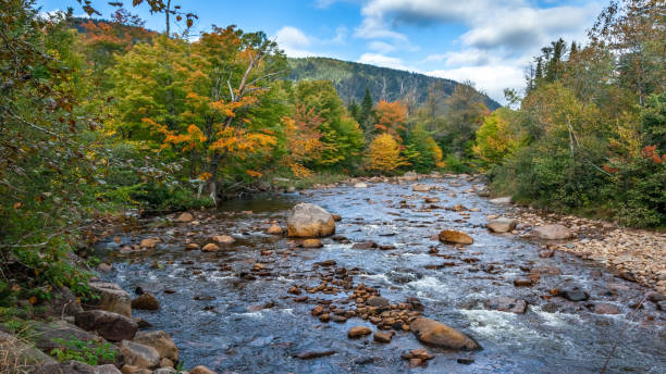 istock River in early autumn. A river in early fall in Quebec, Canada. 1344433423