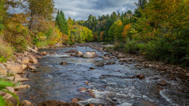 istock River in early autumn. A river in early fall in Quebec, Canada. 1344433458