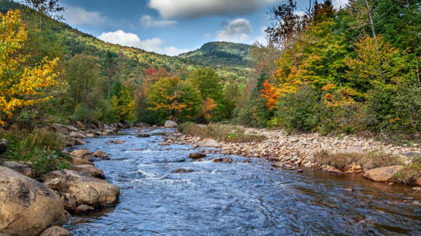 istock River in early autumn. A river in early fall in Quebec, Canada. 1344433506