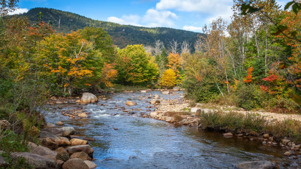 istock River in early autumn. A river in early fall in Quebec, Canada. 1344433565