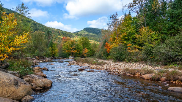 istock River in early autumn. A river in early fall in Quebec, Canada. 1344433598