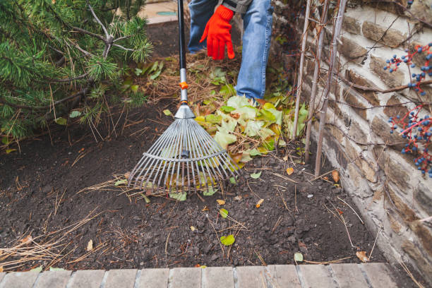 istock Gardener collects fallen leaves by long rake 1344435559