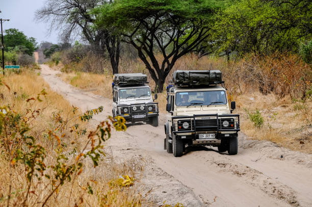 fuoristrada su una pista sabbiosa in botswana - riserva di savuti foto e immagini stock