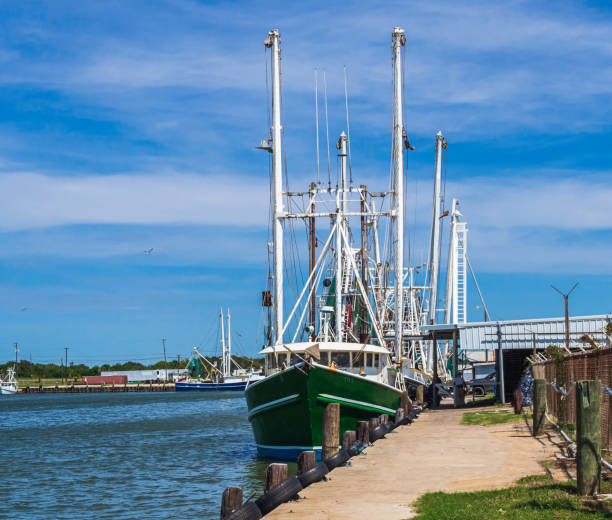 shrimp boat at the pier - barco de pesca de camarões imagens e fotografias de stock