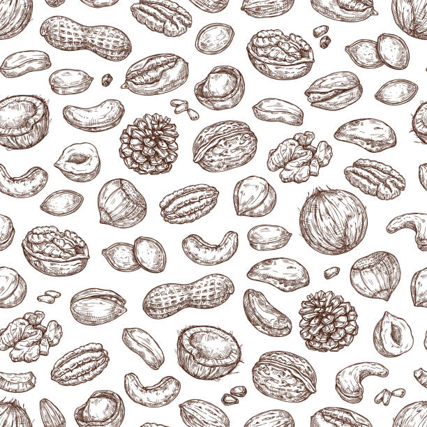 ilustraciones, imágenes clip art, dibujos animados e iconos de stock de patrón sin costuras con tuercas. fondo de boceto con cacahuetes, nueces, coco, macadamia, pistacho, avellanas - nut snack peanut backgrounds