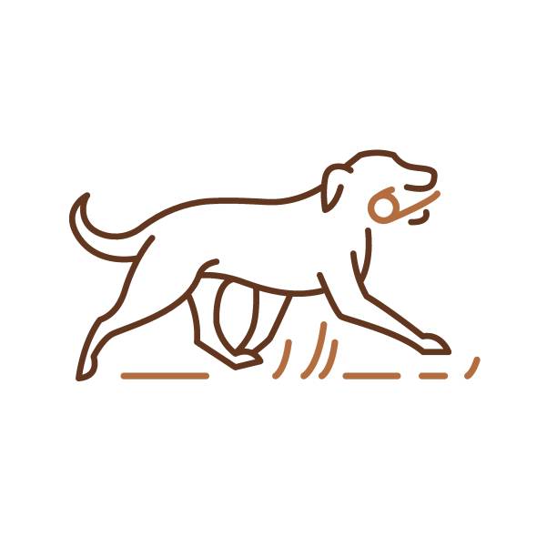 犬のアイコン、ペットのシンボル、スティックで遊んでレトリバーを実行しています。ロゴ id のアウトライン ベクトルの図 - training点のイラスト素材／クリップアート素材／マンガ素材／アイコン素材