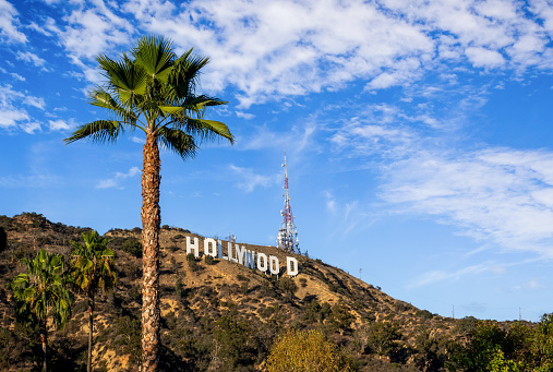 20 october 2018 - Los Angeles, California. USA: Hollywod sign from lake hollywood park with a palm tree