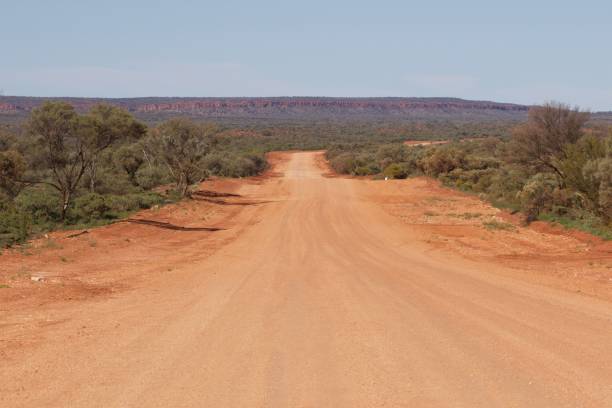 istock Straight dirt road in the red centre, Australia 1344440593