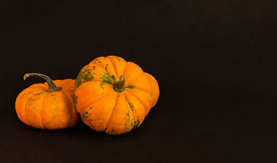 Pumpkins on a black background. Background with copy space