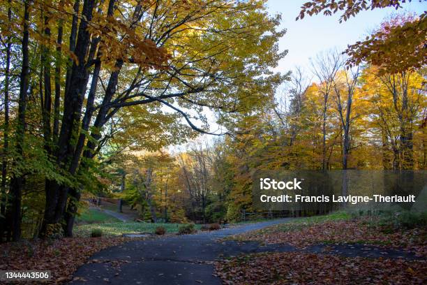 Montebello Qc Fall Colours Stock Photo - Download Image Now - Autumn, Autumn Leaf Color, Canada