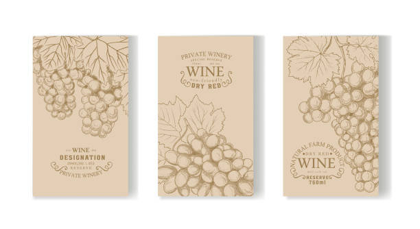 ilustrações de stock, clip art, desenhos animados e ícones de collection of wine labels - vinho branco