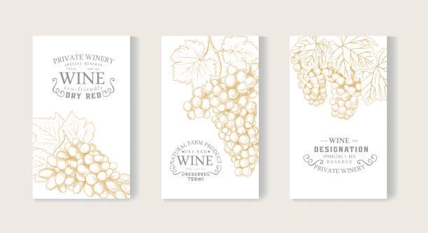ilustraciones, imágenes clip art, dibujos animados e iconos de stock de colección de etiquetas de vino - maple leaf
