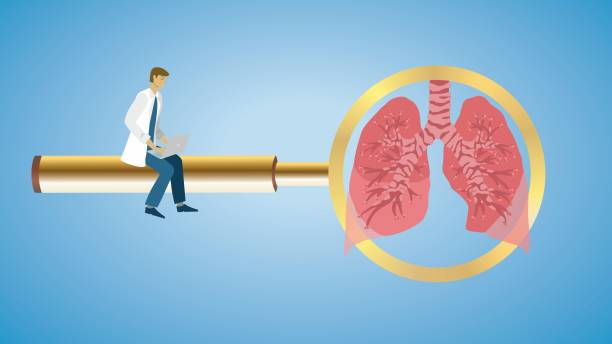 сосредоточьтесь на легких. векторная иллюстрация. - pulmonary valve stock illustrations