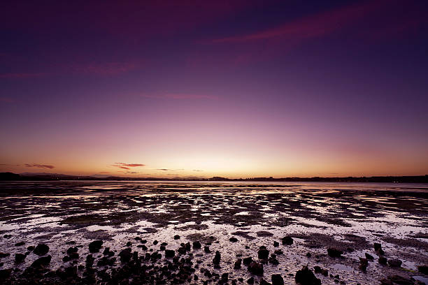 istock Bay of Santander in low tide (Spain) 134444818
