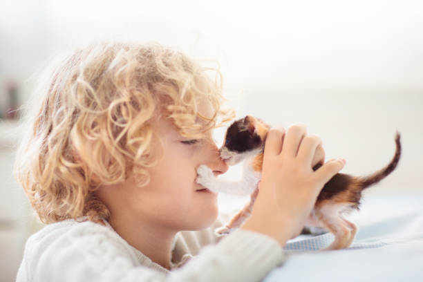 enfant jouant avec un chaton. chat et enfant à la maison. - 24421 photos et images de collection