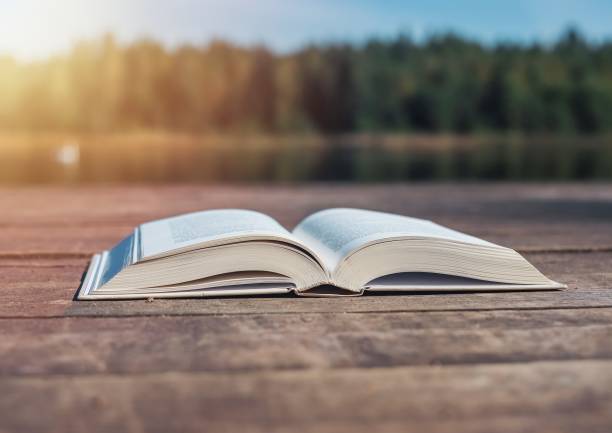 istock Open book on wood table in nature. Summer reading concept 1344448939