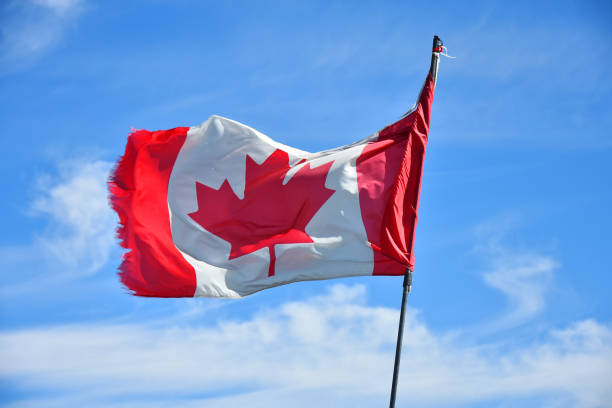 istock Tattered Canadian Flag 1344451028