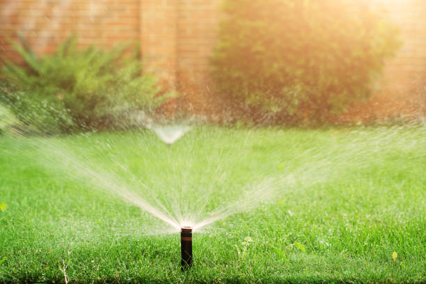istock Green grass being watered with automatic sprinkler system sunny day 1344451138