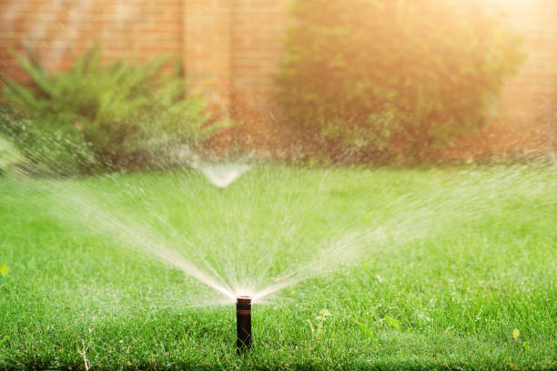 Green grass being watered with automatic sprinkler system sunny day Green grass being watered with automatic sprinkler system sunny day agricultural sprinkler stock pictures, royalty-free photos & images