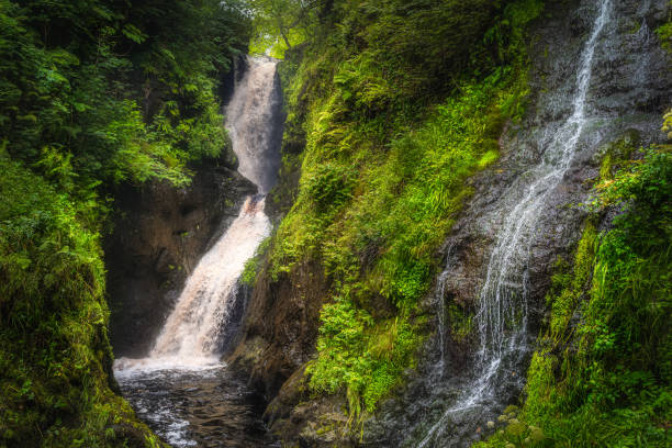 Two waterfalls surrounded by mossy rocks and green forest of Glenariff Forest Park Two spectacular waterfalls surrounded by mossy rocks and green lush forest of majestic Glenariff Forest Park, Antrim, Northern Ireland glenariff photos stock pictures, royalty-free photos & images