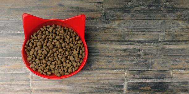 istock Red cat shaped bowl filled with dry pet food on rustic background. Panoramic image with copy space. 1344453605
