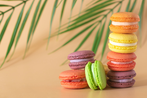 multicolored macaroons are stacked vertically. Natural macaroons on the background of a green branch, copy space