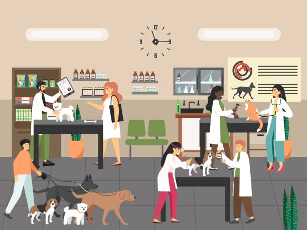 Doctor veterinarian giving dog injection, examining cat, vector illustration. Pet care. Vet clinic services. Vet clinic scene set, flat vector illustration. Doctor veterinarian giving dog injection, examining cat. Vet services. Pet care. animal hospital stock illustrations