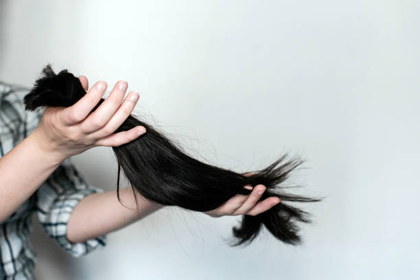 Hair Donation Stock Photos, Pictures & Royalty-Free Images - iStock Hair Donation Stock Photos, Pictures & Royalty-Free Images - iStock