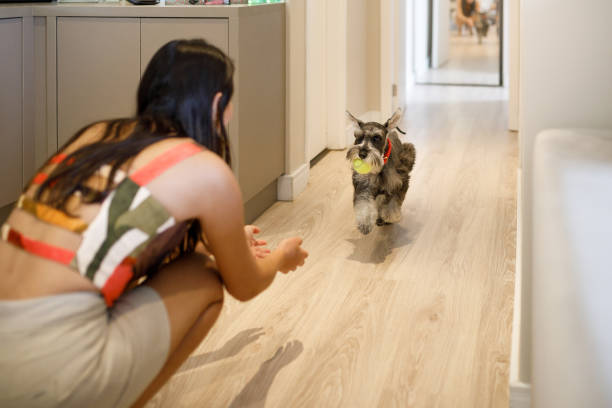 Pet owner and her Schnauzer at home