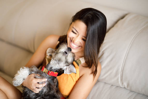 istock Cute dog receiving affection from its owner 1344457002