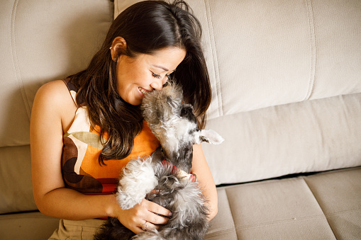 Pet owner and her Schnauzer at home