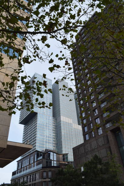 istock Kop van Zuid mix of old and new architecture 1344457382