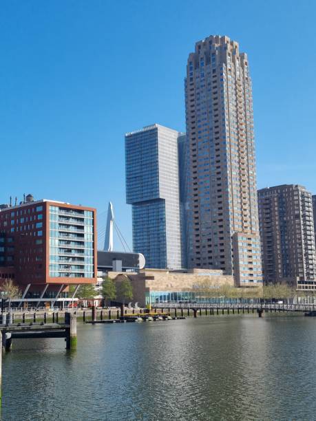 istock Skyline in Rotterdam with reflection of water 1344457407