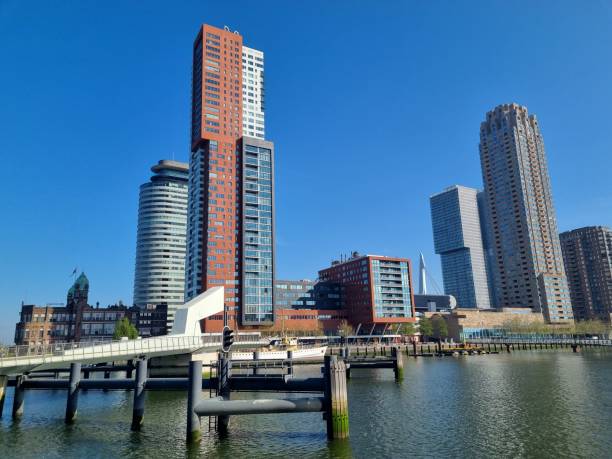istock Sunny skyline of Rotterdam 1344457420