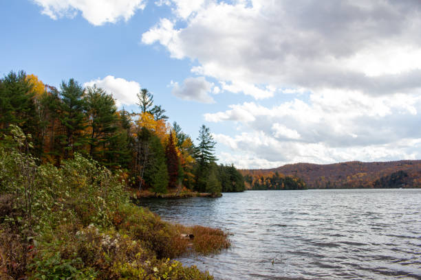 istock Gatineau Park Fall Colours 1344458469