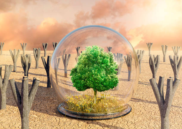 Desert oasis with green tree, grass and flowers protected by a glass dome. Concept of deforestation and destruction of the environment. 3D rendering