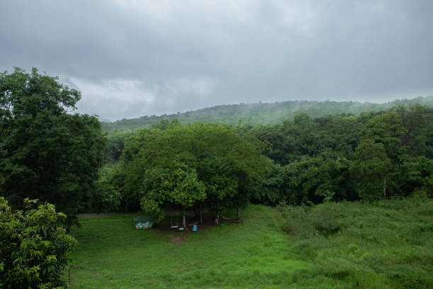 istock Rainforest, Fog, Aerial View, Forest, Mountain 1344460500