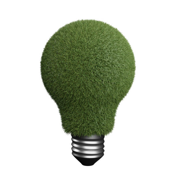 istock Green grass inside the bulb representing green energy 1344463581