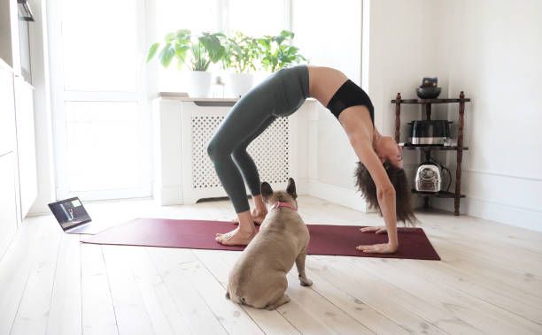 istock Young woman doing exercises at home with her dog 1344464925