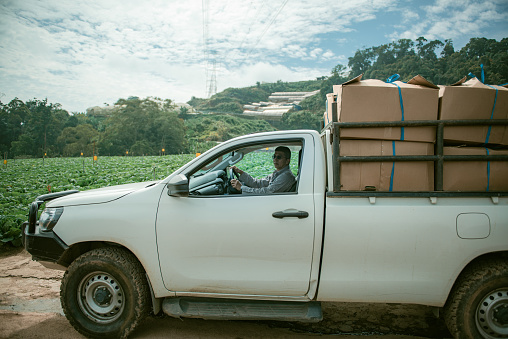 Farmer driving pick-up truck for delivery vegetable