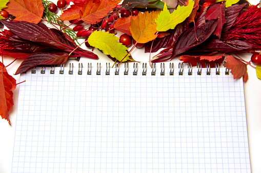 A blank notebook surrounded by colorful autumn leaves and a metal pen with a faucet cap. Autumn concept. Place for text, top view, layout