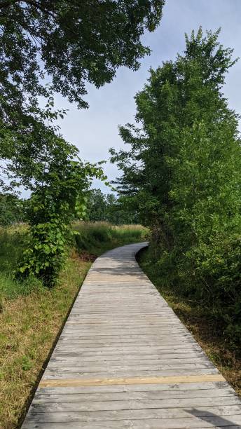 istock Cap-Tourmente footbridge (photo1) 1344474778