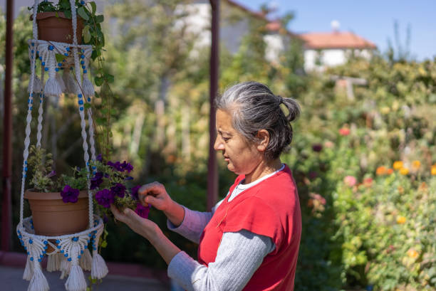 istock Woman gardening at home. 1344474810